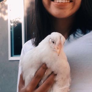 Meet your Posher, Andrea